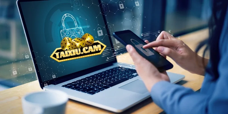 Phương thức bảo quản và lưu giữ dữ liệu