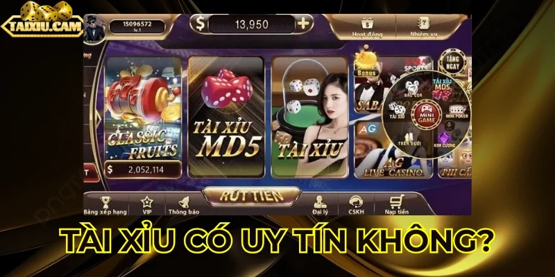 Đánh giá tài xỉu một cách tổng quan