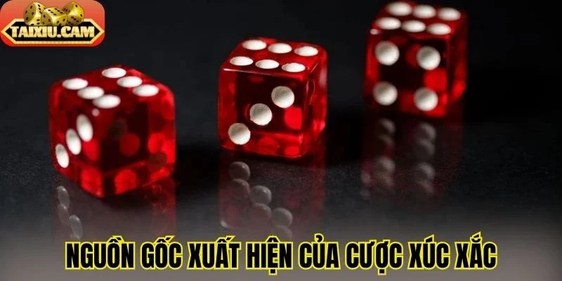 Nguồn gốc xuất hiện của cược xúc xắc