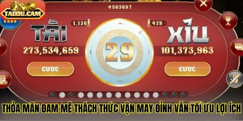 Thỏa mãn đam mê thách thức vận may đỉnh vẫn tối ưu lợi ích