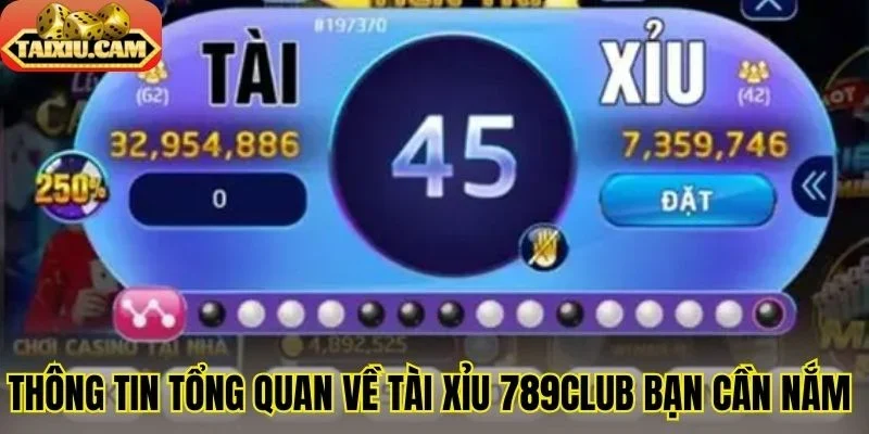 Thông tin tổng quan về tài xỉu 789Club bạn cần nắm 