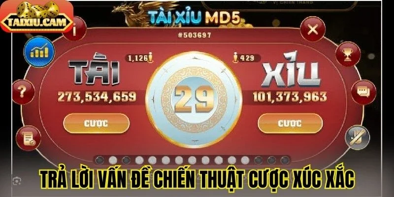 Trả lời vấn đề chiến thuật cược xúc xắc