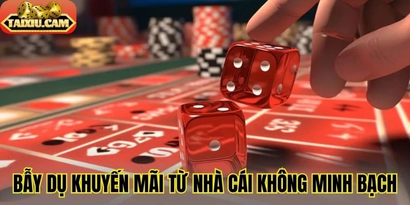 Bẫy dụ khuyến mãi từ nhà cái không minh bạch