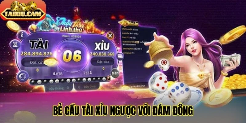 Bẻ cầu tài xỉu ngược với đám đông