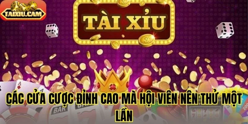 Các cửa cược đỉnh cao mà hội viên nên thử một lần