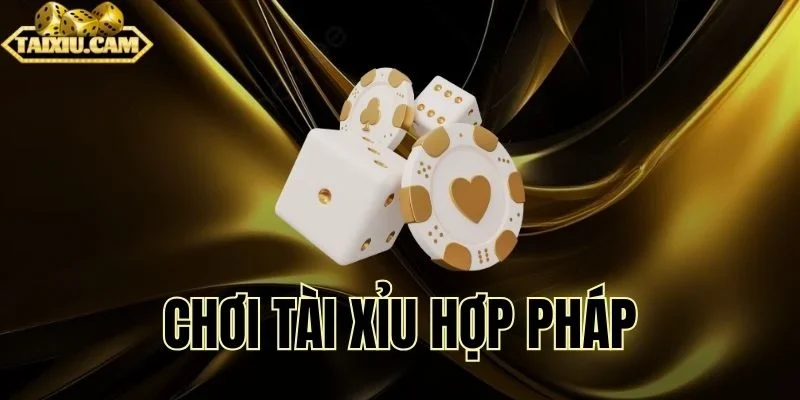 Phân biệt cầu chuẩn để tránh mắc bẫy nhà cái 