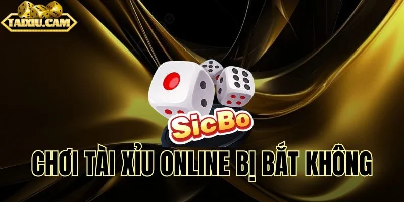 Mẹo phân tích cược xúc xắc online hay