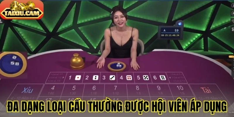 Đa dạng loại cầu thường được hội viên áp dụng 