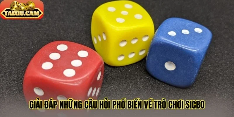 Giải đáp những câu hỏi phổ biến về trò chơi sicbo