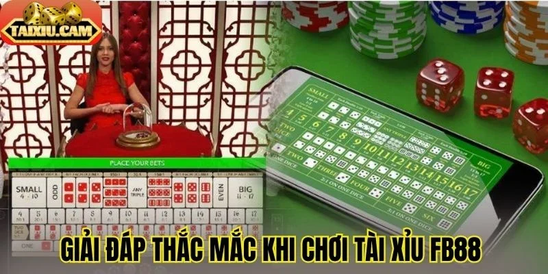 Giải đáp thắc mắc khi chơi tài xỉu FB88 