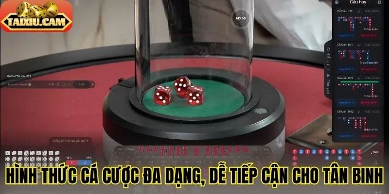 Hình thức cá cược đa dạng, dễ tiếp cận cho tân binh