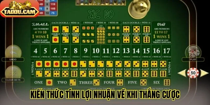 Kiến thức tính lợi nhuận về khi thắng cược