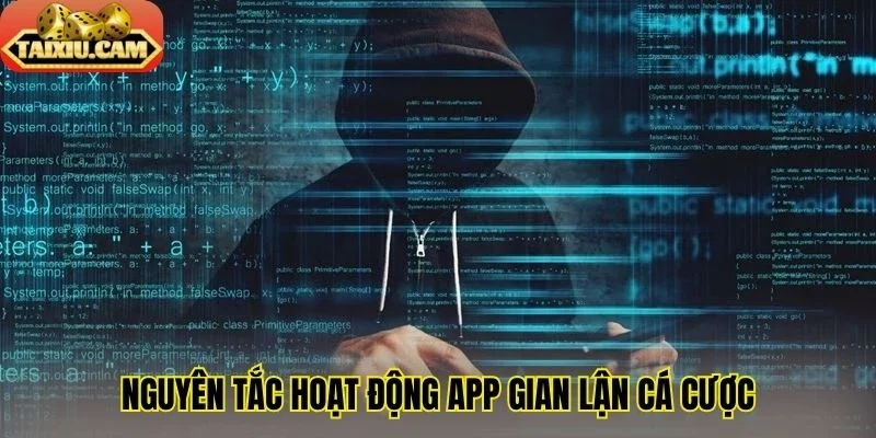 Nguyên tắc hoạt động app gian lận cá cược