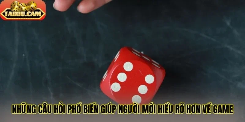 Những câu hỏi phổ biến giúp người mới hiểu rõ hơn về game