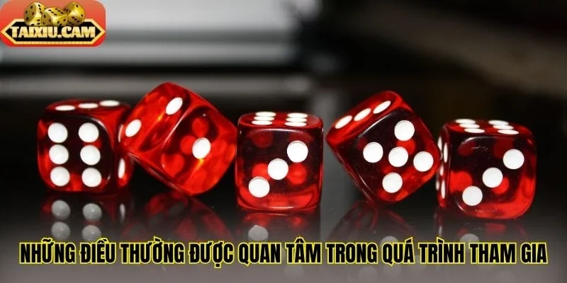 Những điều thường được quan tâm trong quá trình tham gia