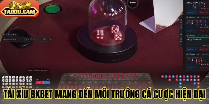 Tài xỉu 8XBET mang đến môi trường cá cược hiện đại