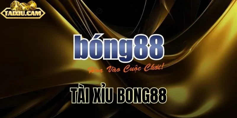 Khám phá cơ hội thắng lớn cùng Bong88