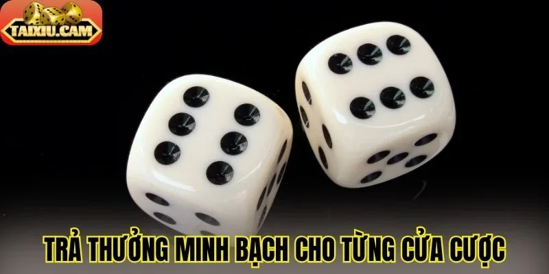 Trả thưởng minh bạch cho từng cửa cược