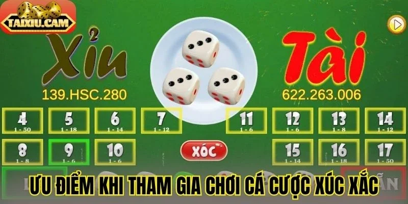 Ưu điểm khi tham gia chơi cá cược xúc xắc