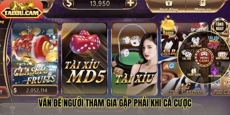 Vấn đề người tham gia gặp phải khi cá cược