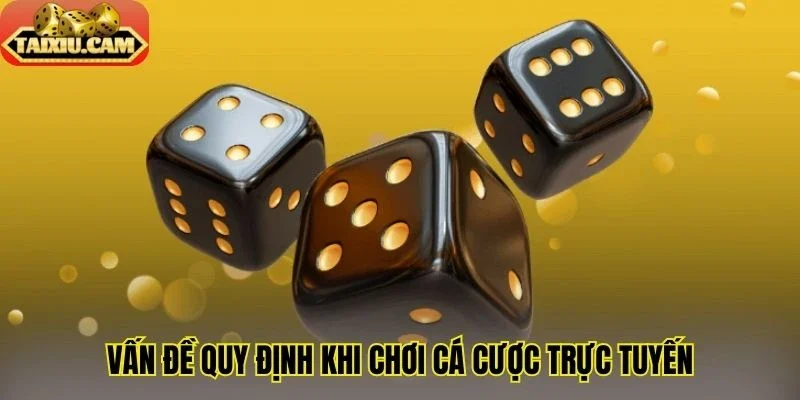 Vấn đề quy định khi chơi cá cược trực tuyến