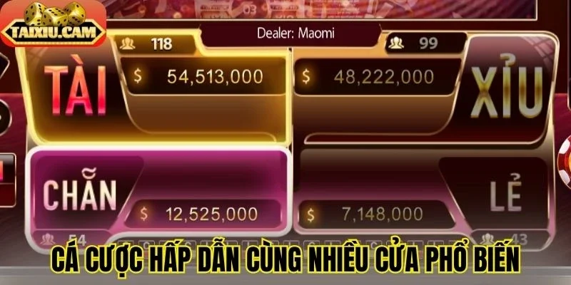 Cá cược hấp dẫn cùng nhiều cửa phổ biến