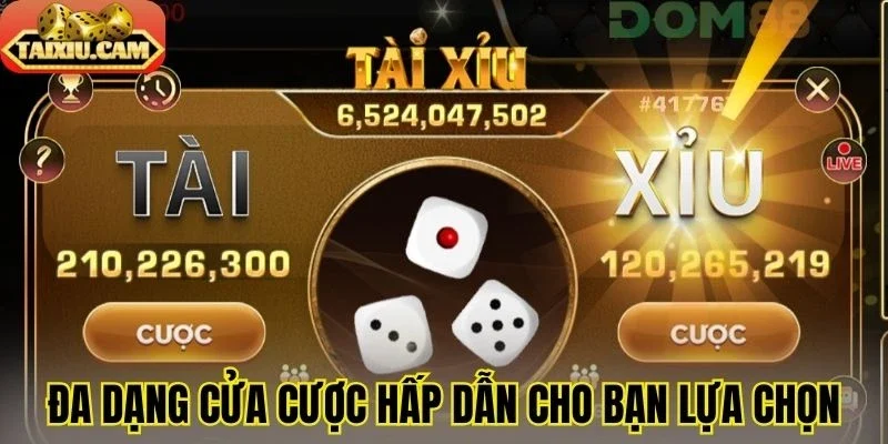 Đa dạng cửa cược hấp dẫn cho bạn lựa chọn