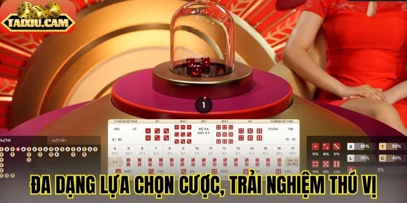 Đa dạng lựa chọn cược, mang lại trải nghiệm thú vị