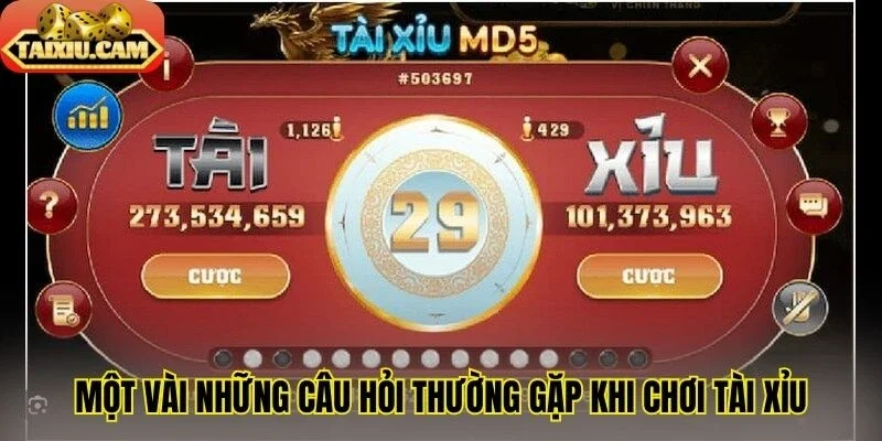 Một vài những câu hỏi thường gặp khi chơi tài xỉu