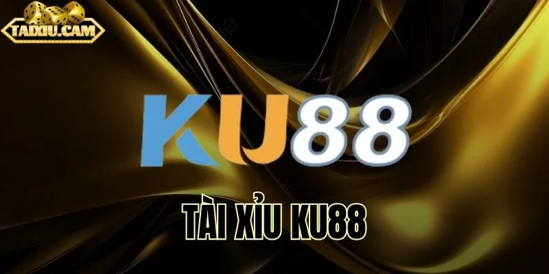 Lựa chọn giải trí quen thuộc đầy kịch tính