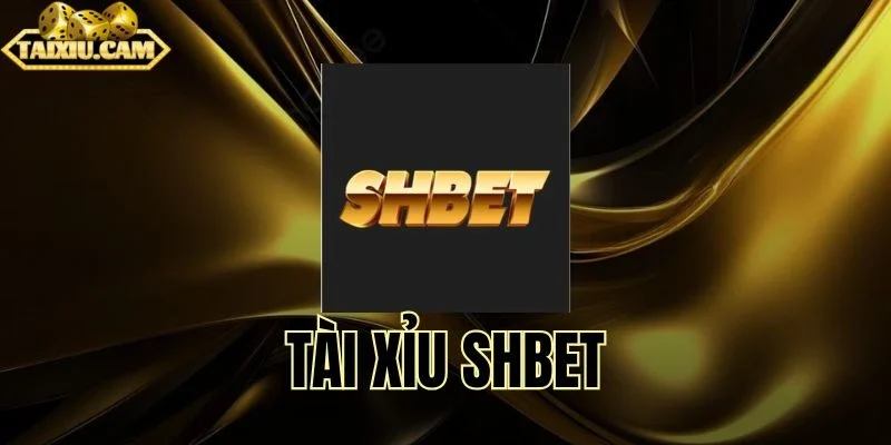 Trò chơi dự đoán tổng xúc xắc tại SHBet 