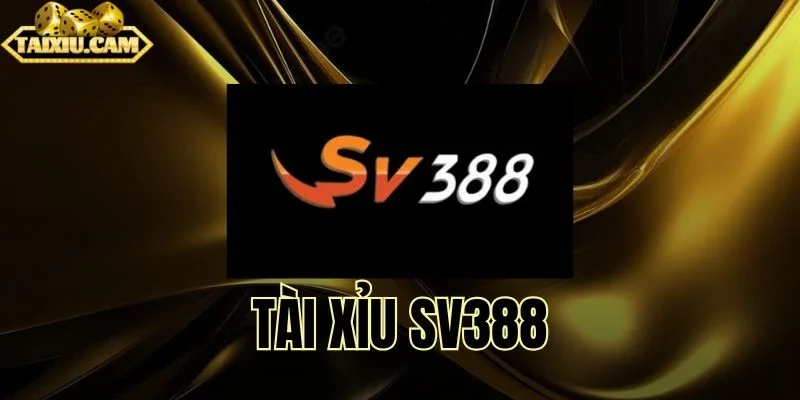 Giải trí cực đỉnh tại điểm cược xúc xắc SV388