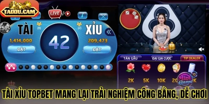 Tài xỉu Topbet mang lại trải nghiệm công bằng, dễ chơi
