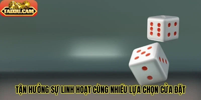 Tận hưởng sự linh hoạt cùng nhiều lựa chọn cửa đặt