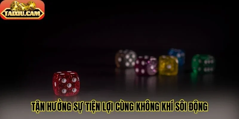 Tận hưởng sự tiện lợi cùng không khí sôi động