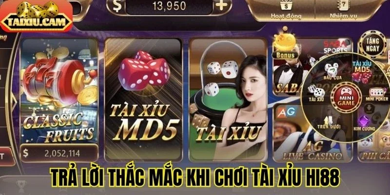 Trả lời thắc mắc khi chơi tài xỉu Hi88