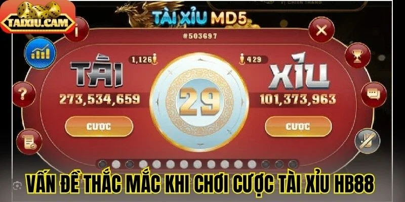 Vấn đề thắc mắc khi chơi cược tài xỉu HB88 
